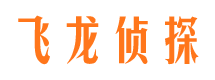 布拖找人公司